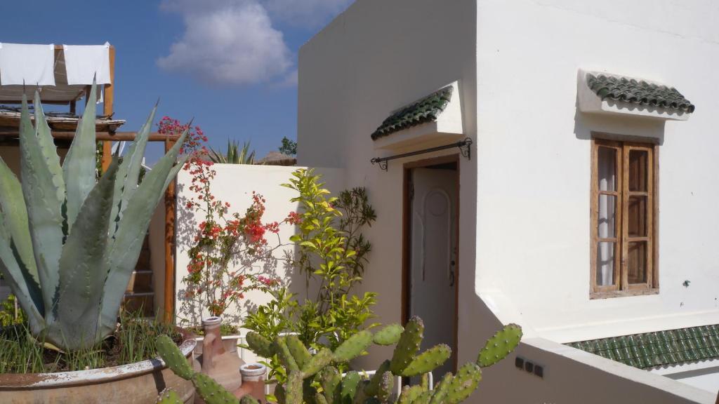 Le Coq Fou Marrakesh